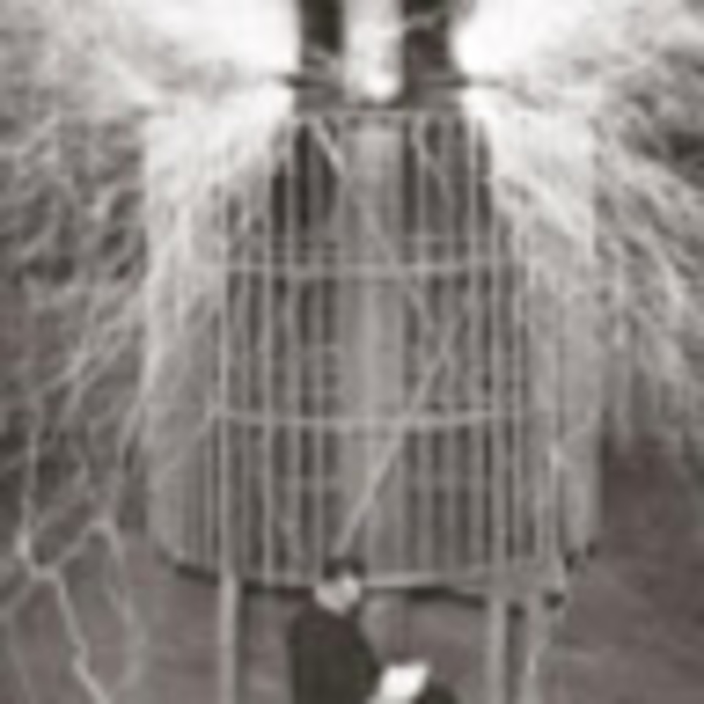 Meet your Posher, Lynn